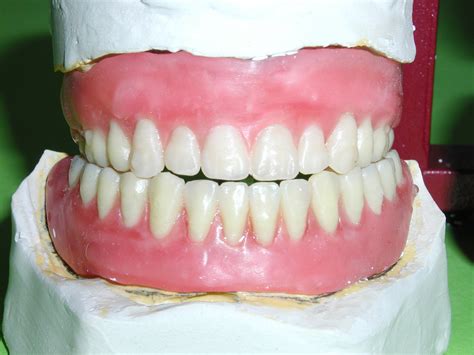 false teeth stock photo freeimagescom