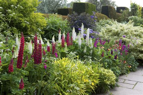 garden border ideas  tips  making  border beautiful real homes