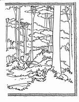 Coloring Ecosystem Tall Coloringtop Jungle Ecosystems Printablecolouringpages sketch template