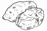 Potato Clipart Yam Sweet Sketch Drawing Baked Coloring Mashed Potatoes Thanksgiving Cliparts Savoy Sarah Gift Potatoe Licorice Clip Outline Cheesecake sketch template