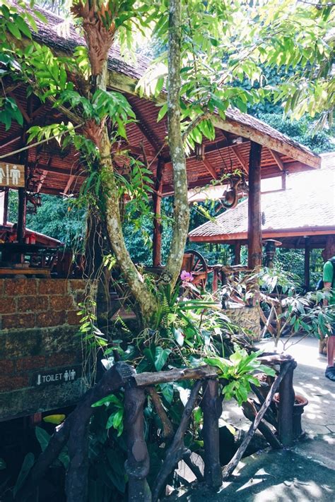 jungle treehouse stay  thailand khao sok national park treehouses