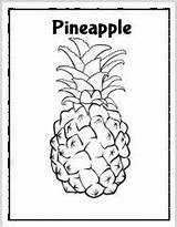 Pineapple Tracing sketch template