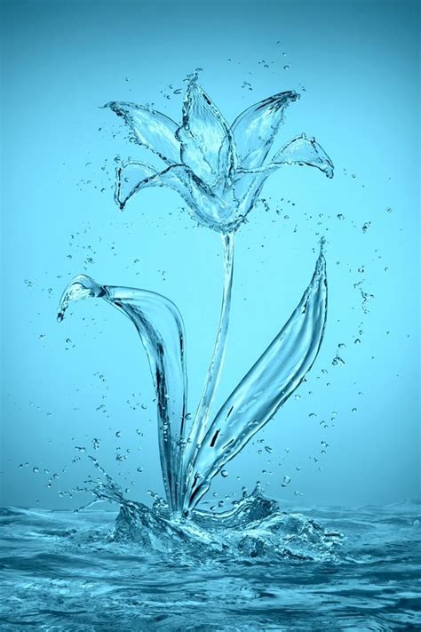 Water Lily Water Art Art Beautiful