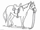 Horse Coloring Pages Christmas Printable Getdrawings sketch template