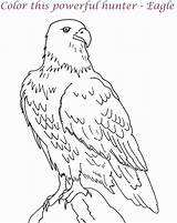 Coloring Harpy Coloringhome sketch template