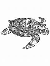Turtle Coloring Pages Adult Printable Mandala Turtles Adults Zentangle Animal Book Coloriage Tortue Patterns Geeksvgs Crocodile Color Google Complex Beautiful sketch template