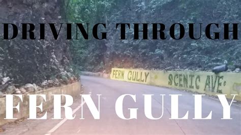Driving Through Fern Gully St Ann Jamaica Youtube