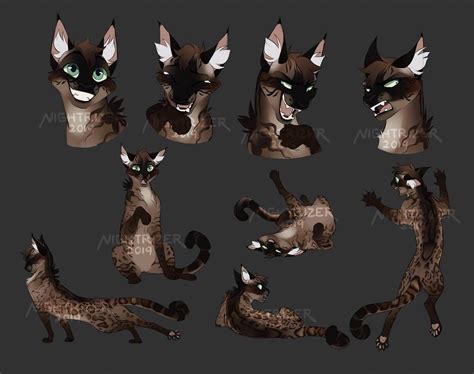 sketch page  sakirtus  nightrizer  deviantart warrior cat drawings warrior cats fan