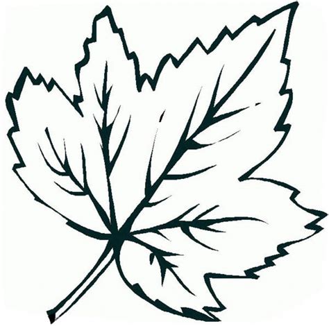 simple leaf coloring page leaf coloring page shape coloring pages