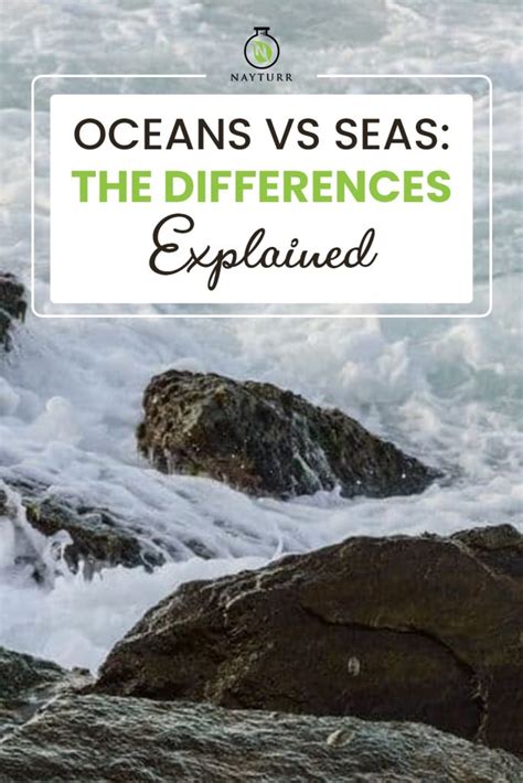 Oceans Vs Seas The Differences Explained – Nayturr