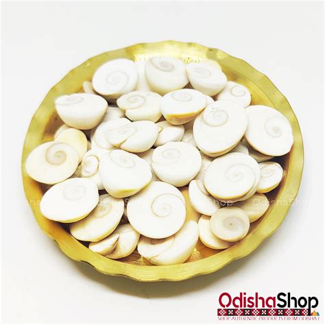 buy gomatigomti chakra original  puja white odisha shop