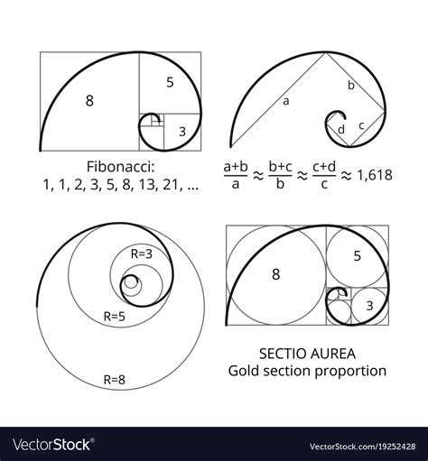 Golden Fibonacci Ratio Spirals Gold Section Vector Image