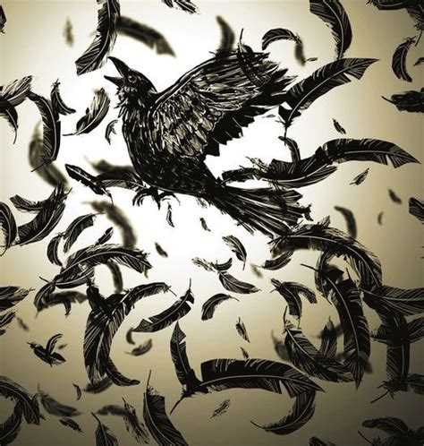 Feathers Falling Around A Crow In Flight Crows Drawing Crow