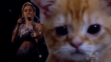 Miley S  Find And Share On Giphy