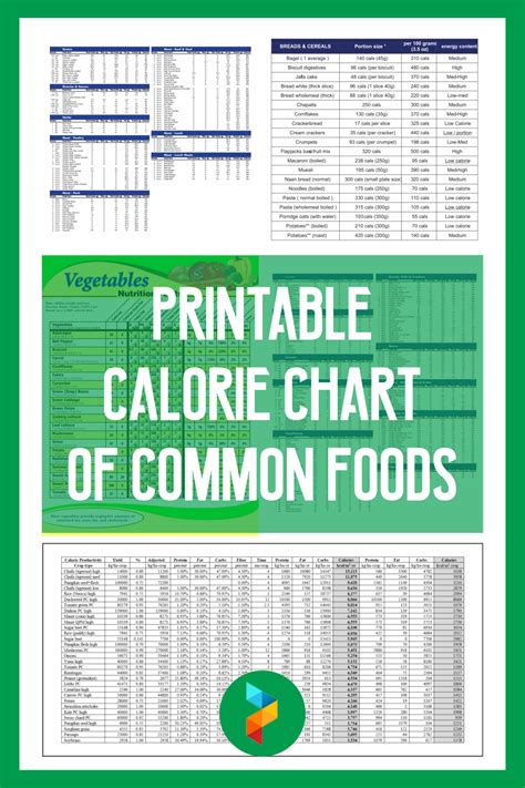 calorie chart  common foods    printables printablee