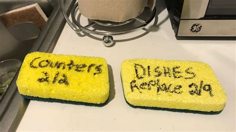 How To Keep Track Of Your Gross Household Sponges Lifehacker Australia