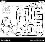 Coloring Mole Maze Labyrinth Coloritura Talpa Labirinto sketch template