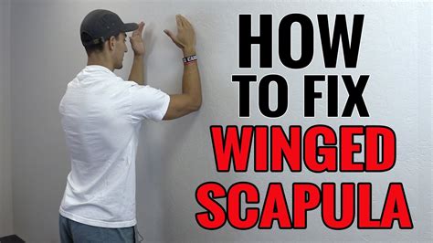 exercises     fix winged scapula youtube