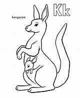 Kangaroo Coloring Baby Carrying Netart sketch template
