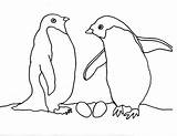 Pinguin Mewarnai Penguins Paud Twin Berikut sketch template