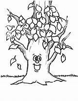 Tree Leaves Printable Coloring Trees Pages Template Without Printables sketch template