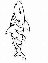 Shark Coloring Pages Kids Tags sketch template