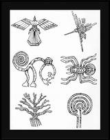 Nazca Inca Lineas Tatuagens Peruvian Andre Tatoeages Tatuaje татуировки Ak0 перейти выбрать доску Tablicę Wybierz する Inka 選択 ボード Symbol sketch template