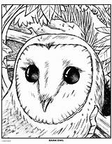 Owl Barn Crayola Snowy sketch template