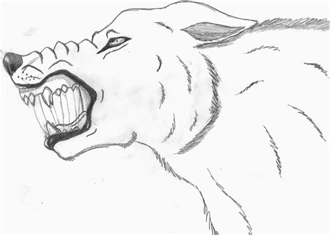 wolf growling drawing growling wolf drawing  paintingvalley