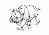 Rhino Rhinoceros Coloringbay Awakens Force sketch template