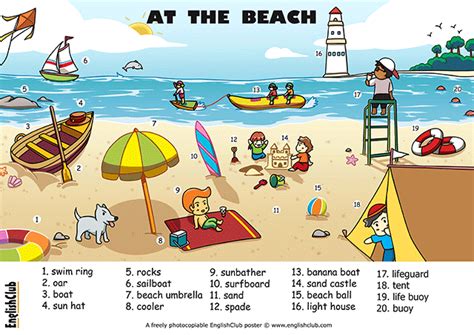 illustrated beach vocabulary englishclub