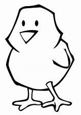 Coloring Easter Chick Pages Popular sketch template