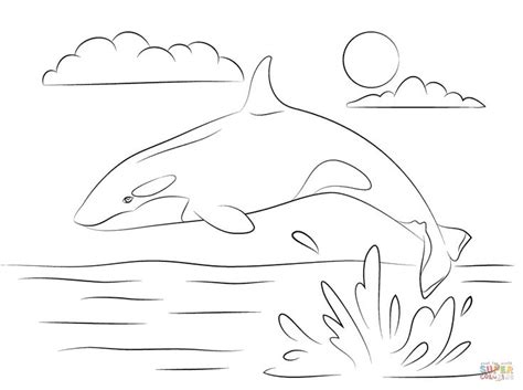 whales coloring pages printable whale coloring pages fish coloring