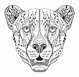 Cheetah Zentangle Gepard Mandalas Stylized Ghepardo Stilizzato Guepardo Haupt Stilisiert Capo Ornate Freehand Elefantes Ilustración sketch template