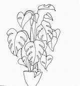 Monstera Plant Deliciosa Sketches Tvizlet Painting4 Kunst Hojas sketch template
