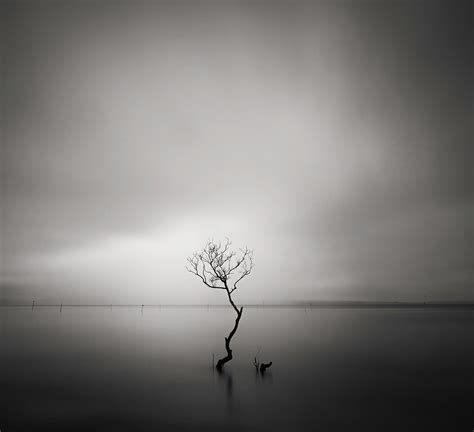 isolation minimalist photography awards