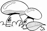Mushroom Coloring Pages Trippy Colouring Mushrooms Ground Above Drawing Garden Fascinating Species Getdrawings Picolour Adults Template sketch template