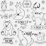 Waldtiere Wald Malvorlagen Tiere Mignons Vorschule Seiten Farbung sketch template