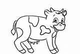 Coloring Pages Animal Calf Farm Cows Cow Cute Cartoon Drawing Sweet Printable Caw Animals Line Color Print Book Raccoon sketch template