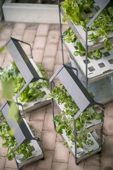 ikea  hydroponic countertop garden kit gardenista