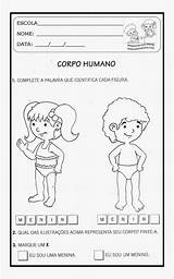 Humano Atividades Partes Infantis Baixarada sketch template