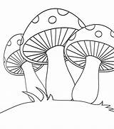 Fungi Getdrawings Coloring Mushrooms sketch template