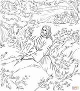 Jesus Gethsemane Garden Coloring Pages Disciples Sleeping Prays Pray Kids Supercoloring sketch template