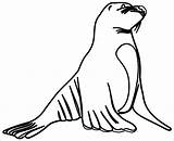 Sea Clip Lion Clipart Seal Coloring Cliparts Outline Pages Otter Walrus Printable Line Circus Animals Transparent Panda Coloringbay Imagixs Amp sketch template