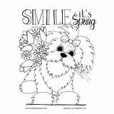 Maltese Dog Coloring Spring Pages Adult Dogs Colouring Color Printable Adults Animals Butterfly Books Want Easter sketch template