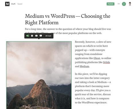 medium  wordpress   choose   platform