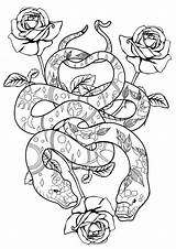 Snakes Roses Colorear Serpientes Serpenti Adulti Serpent Serpents Erwachsene Schlangen Malbuch Fur Justcolor Colouring Sweetness Coloriages Arwen Galerie Twin sketch template