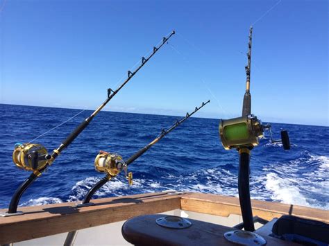 hawaii deep sea fishing   fishing  lewers st waikiki