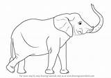 Elephant Trunk Draw Animals Zoo Drawing Easy Step Its Sketch Side Drawingtutorials101 Elephants Learn Tutorials Asian Google sketch template