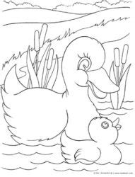 duck  ducklings coloring page kinderart